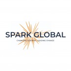 A DBWC EVENT: MENTORING SKILLS WORKSHOP WITH SPARK LEADERSHIP